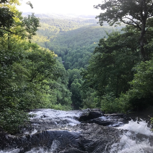 Meet your Posher, Emily - Picture 1 of 1